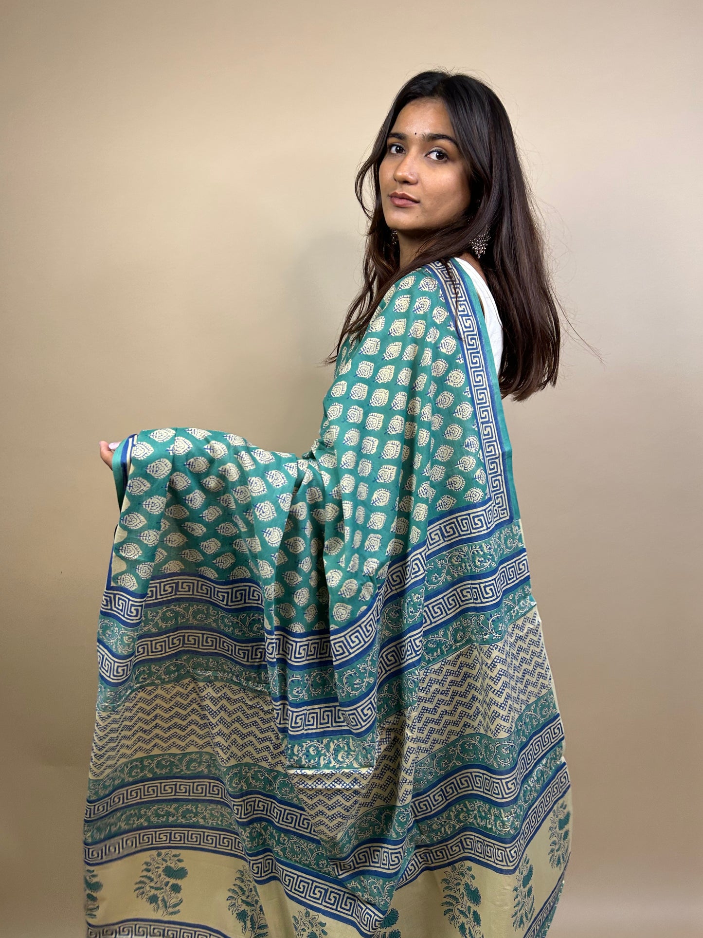 Banjara Handblock Printed Cotton Saree