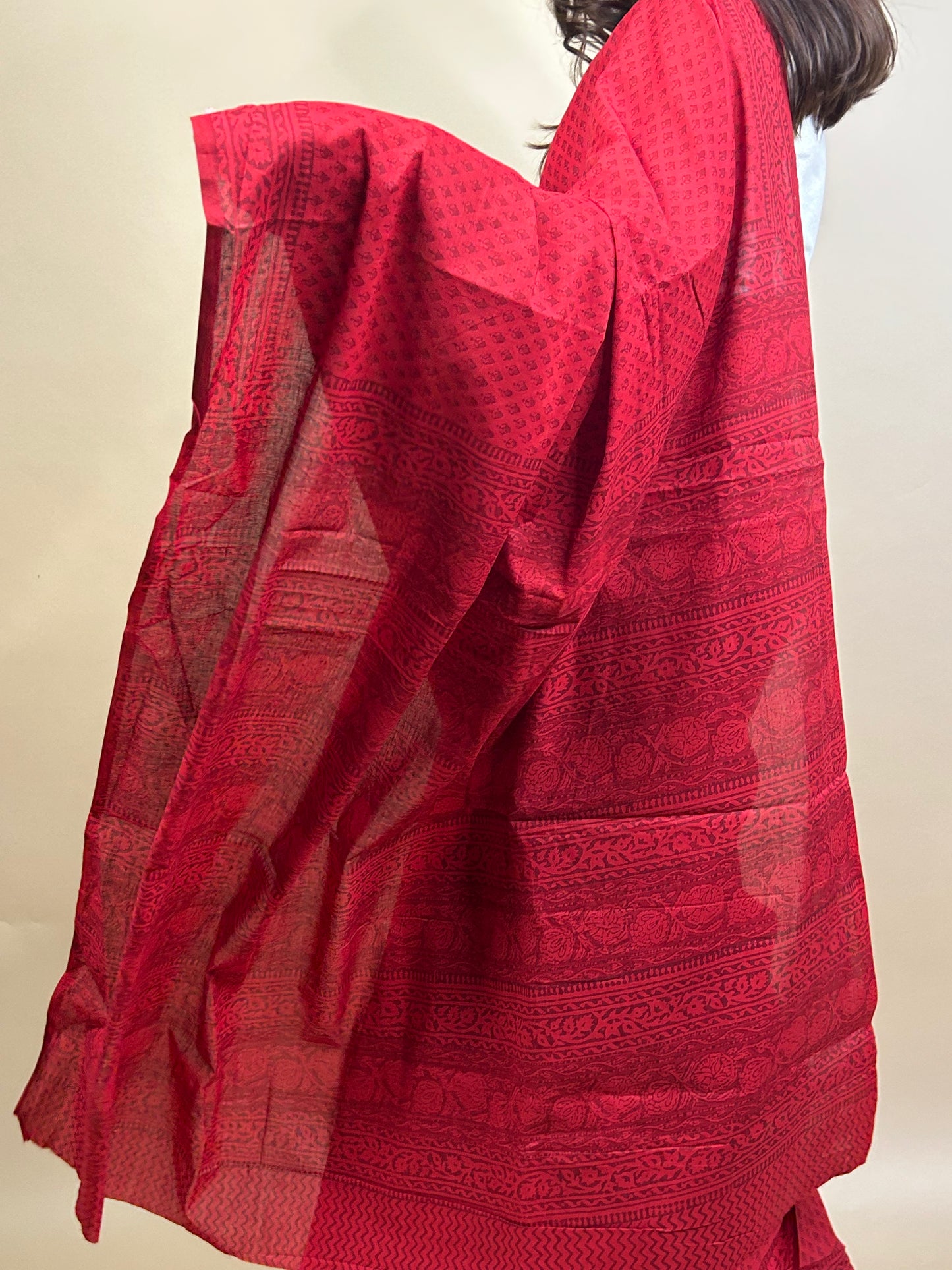 Banjara Handblock Printed Cotton Saree